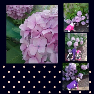 20150628153345189.jpg