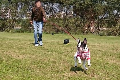 かお〜.jpg