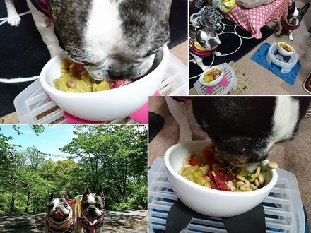 こどもの日〜.jpg