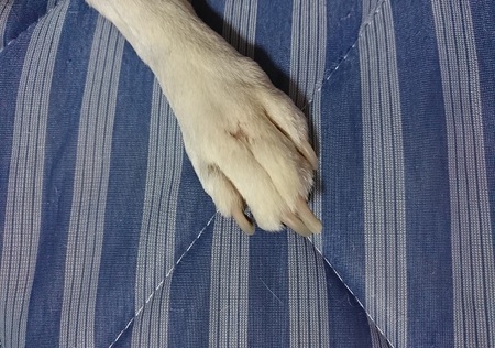 つめ.jpg