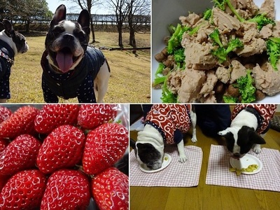 前日&当日.jpg
