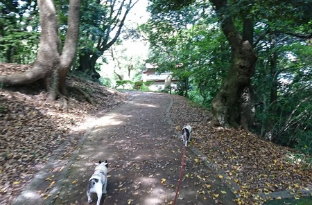 西公園4.jpg