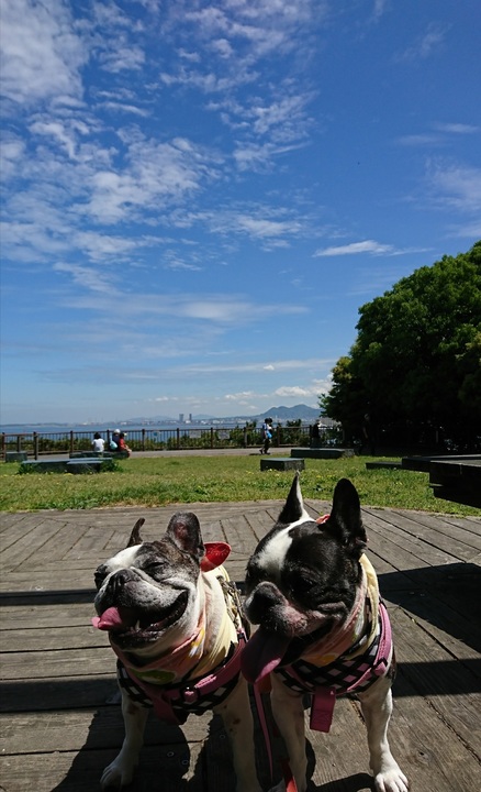 西公園5.jpg